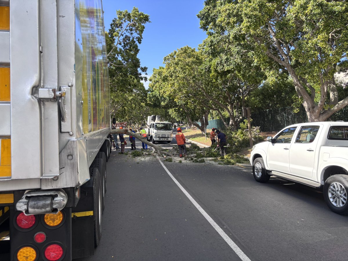 Truck hit tree branch - well done <a href="/CityofCT/">City of Cape Town</a> for quick response - Orpen Rd near top Tokai circle
