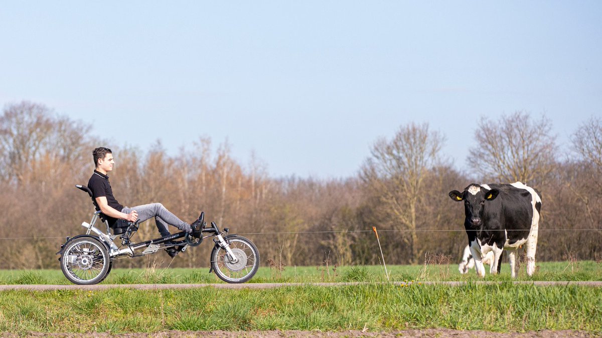 Van Raam tweet media