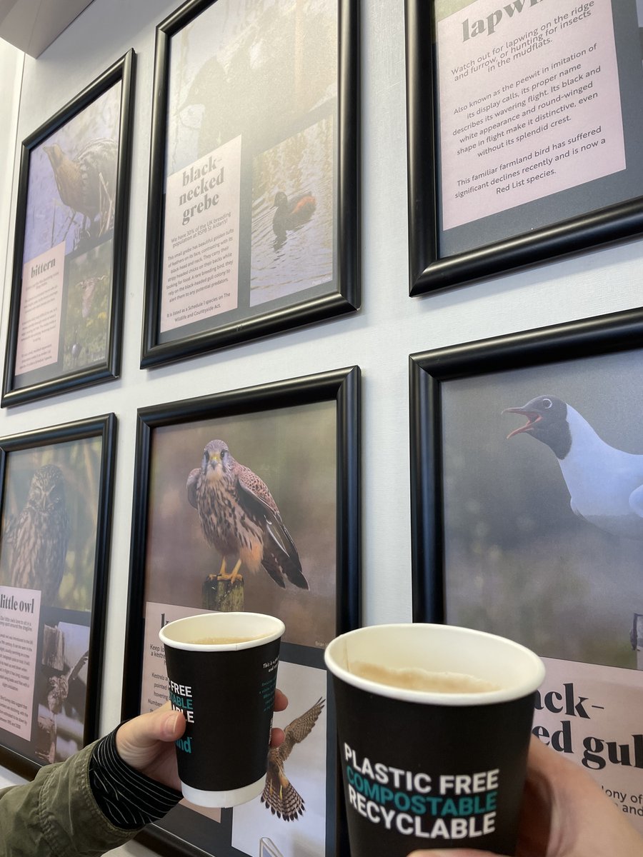 Trident BC Ltd tweet media