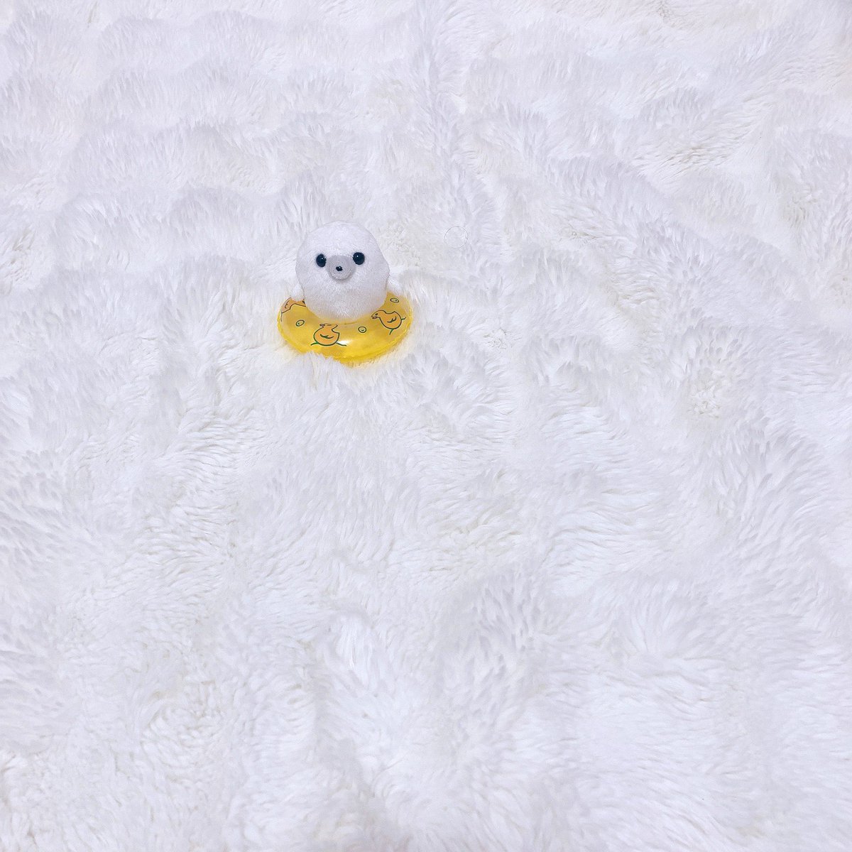 うわきしたら　島流しの刑