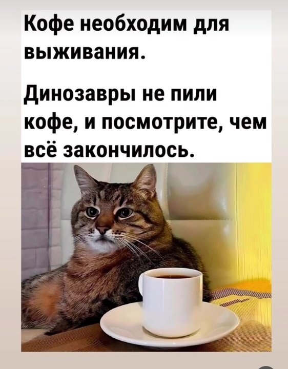 lLA1760035's tweet image. Вот именно! ☝