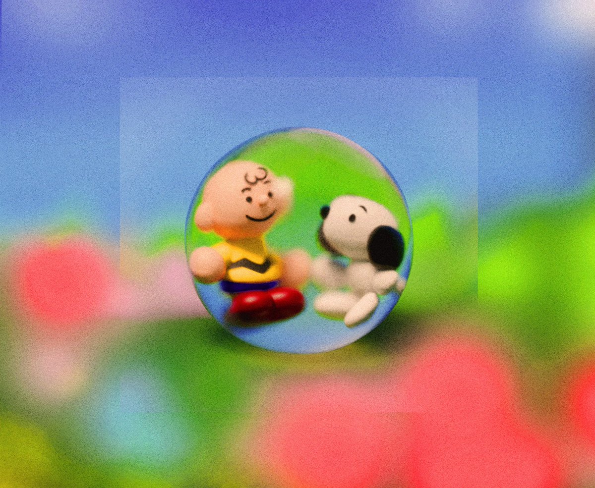 𝑯𝒂𝒓𝒓𝒚 𝑩𝒉𝒂𝒍𝒆𝒓𝒂𝒐 tweet media