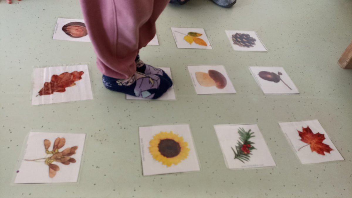 La tribu de la Pedriza(5años A) del <a href="/CEIPBoalin/">CEIP San Sebastián (BOALÍN)</a> realiza sus primeras actividades desenchufadas trabajando el pensamiento computacional ⬆️⬆️⬅️🔁🤖 <a href="/NievesCabra/">Nieves Cabra de la Torre</a> #CodigoEscuela4_0_Madrid <a href="/AytoElBoalo/">Ayuntamiento BOCEMA</a>