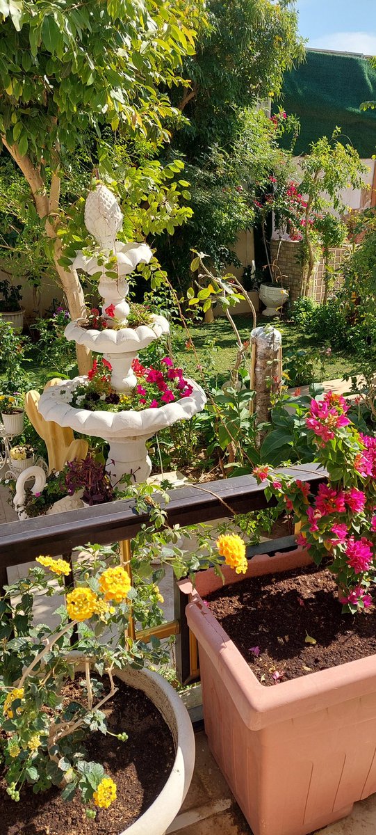 om_mohammad2010's tweet image. #صباح_الاجواء_الحلوه

اللهم ايام مزهرة بكرم عطاءك