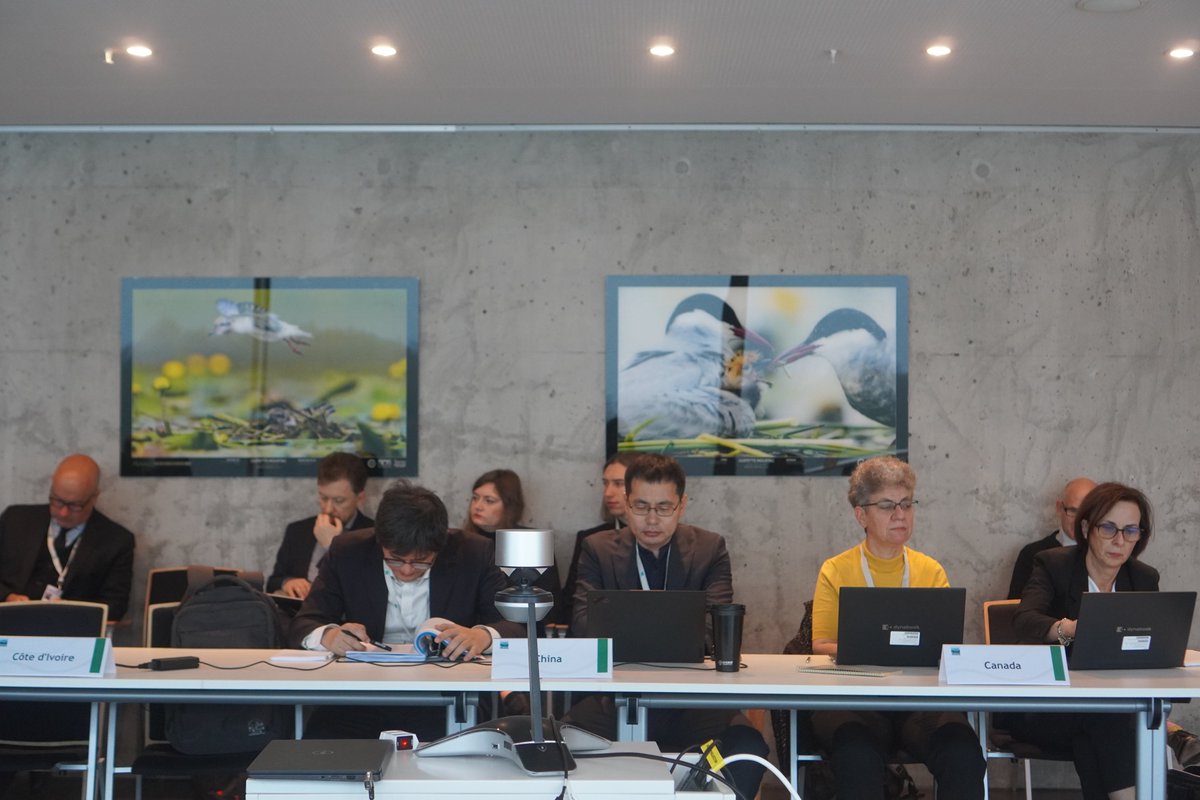 RamsarConv's tweet photo. #SC64 has officially begun today, starting with the meeting of the Management Working Group. Plenary sessions are set to begin tomorrow, marking a crucial step towards impactful decisions for wetland conservation and #COP15Zimbabwe. https://t.co/WkyoNoncg9