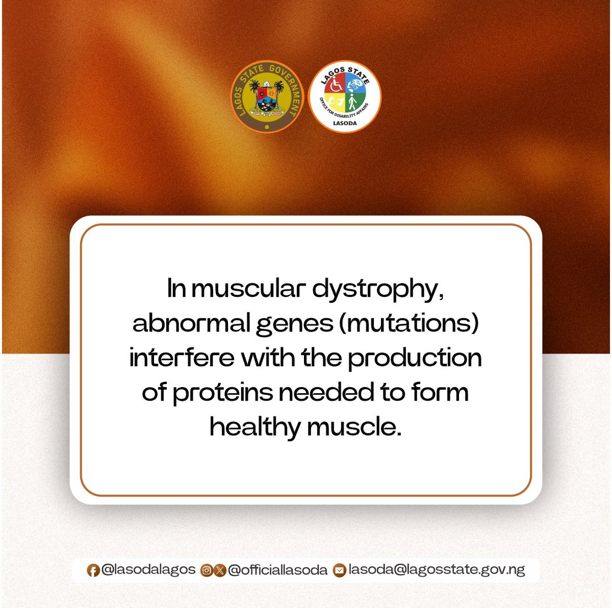 officiallasoda's tweet photo. Muscular Dystrophy mainly affects skeletal muscles, which are responsible for voluntary movements like walking, lifting, and speaking.
Normally, muscles need certain proteins to stay strong and healthy.
#MDawareness
#DisabilityAffairs
#LASODA
@denikeoyetunde @followlasg https://t.co/aObWfJo1qp