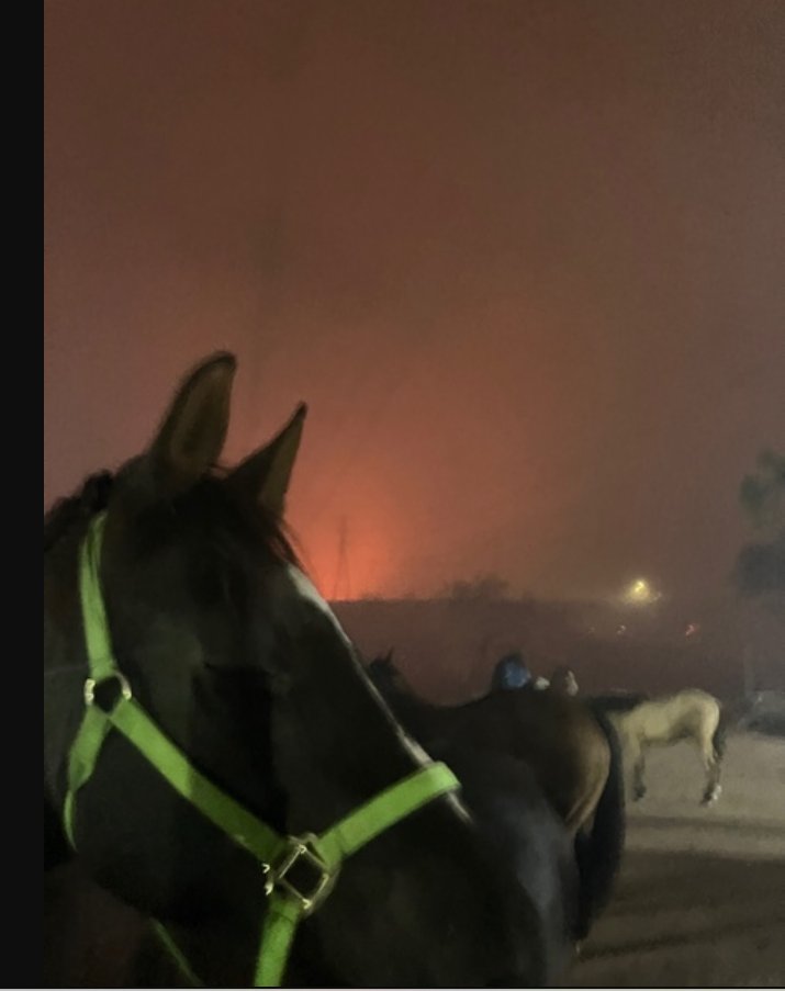 Thurgood Marshall Secondary School (@marshalleagles1) on Twitter photo <a href="/MarshallEagles1/">Thurgood Marshall Secondary School</a> sharing good news from Ms. Leslie Her horse, Windchime, & other animals in her stable survived the Eaton Fire. There were 38 horses, 13 chickens, two cats, & one pig. <a href="/PasadenaUnified/">Pasadena Unified School District</a> <a href="/Hchanhill/">Helen Chan Hill</a> <a href="/AudreyDeniseGr2/">Audrey Denise Green</a> <a href="/MarshallEagles1/">Thurgood Marshall Secondary School</a> sharing good news from Ms. Leslie Her horse, Windchime, & other animals in her stable survived the Eaton Fire. There were 38 horses, 13 chickens, two cats, & one pig. <a href="/PasadenaUnified/">Pasadena Unified School District</a> <a href="/Hchanhill/">Helen Chan Hill</a> <a href="/AudreyDeniseGr2/">Audrey Denise Green</a>