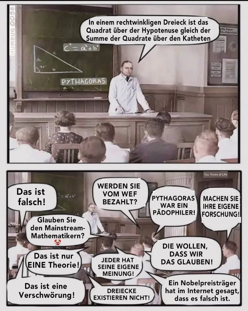 Es fehlt noch die Stimme, die zustimmt und dann von den anderen als Systemling bezeichnet wird.