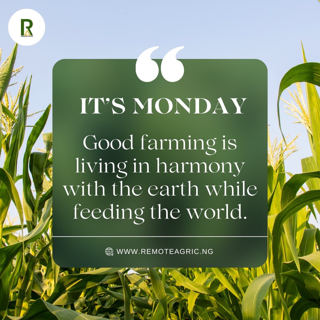 RemoteAgric's tweet image. 🌍 Good farming is living in harmony with the earth while feeding the world.🌱

At Remote Agric, we embrace practices that care for the soil, conserve resources, and promote long-term prosperity for the earth and humanity.

Join us in building a sustainable future. 
#remoteagric