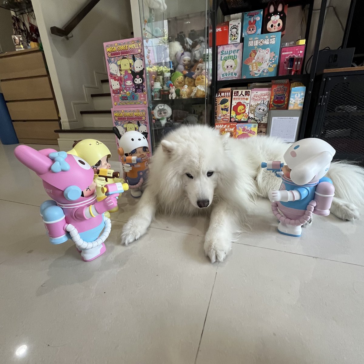 พอร์ชโดนล้อมไว้หมดแล้ว 🐻‍❄️🔫