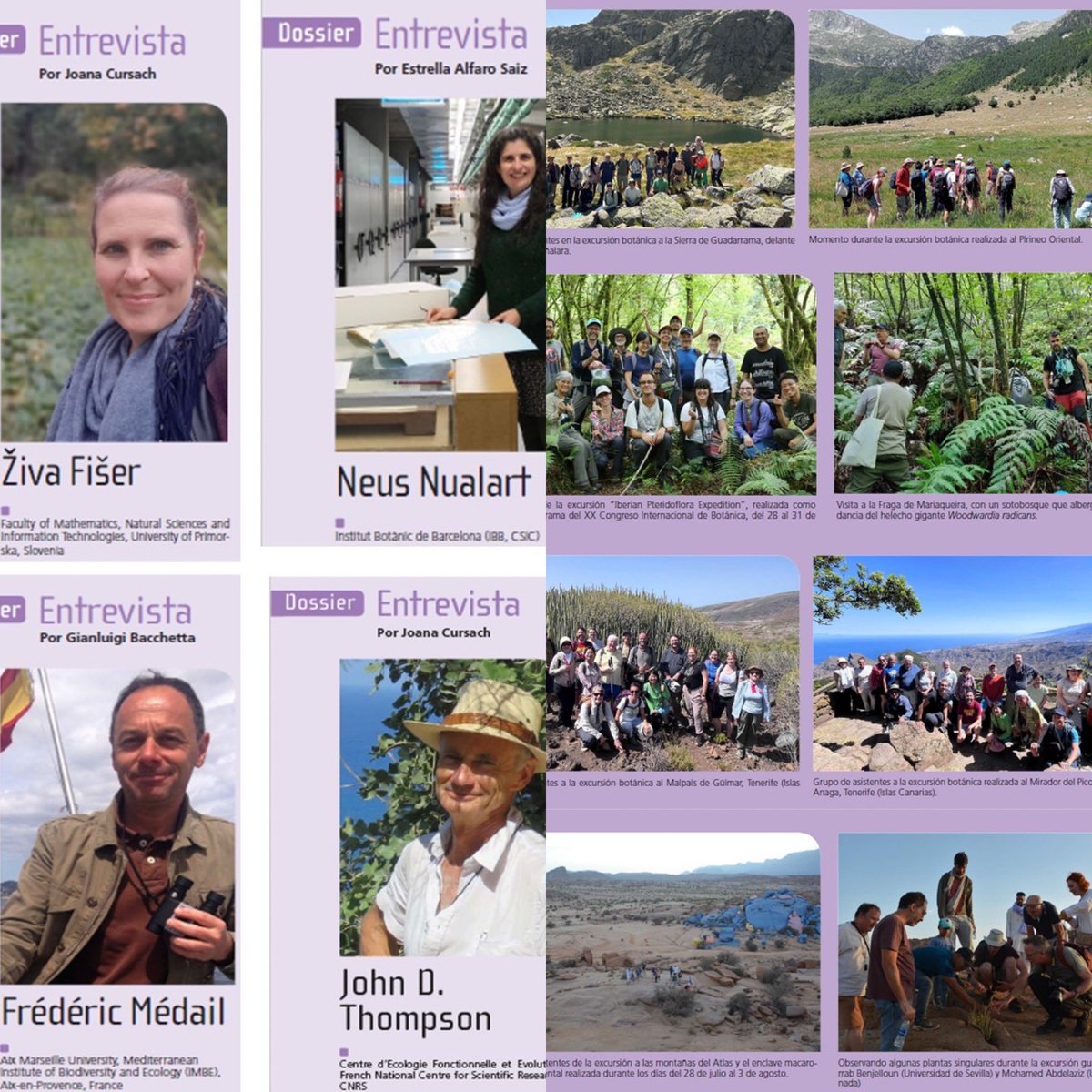 SEBiCoP's tweet image. 🌿¡No te pierdas el dossier especial #IBC2024 de #ConservaciónVegetal28 ❗️
bit.ly/4hiHfTx
Reflexiones: impacto en la botánica española
Sección Nomenclatura
Declaración de Madrid, 
Entrevistas a destacados botánicos
Recorrido visual 📸✨ 
#Botánica 
#SEBOT 
#SEBiCo