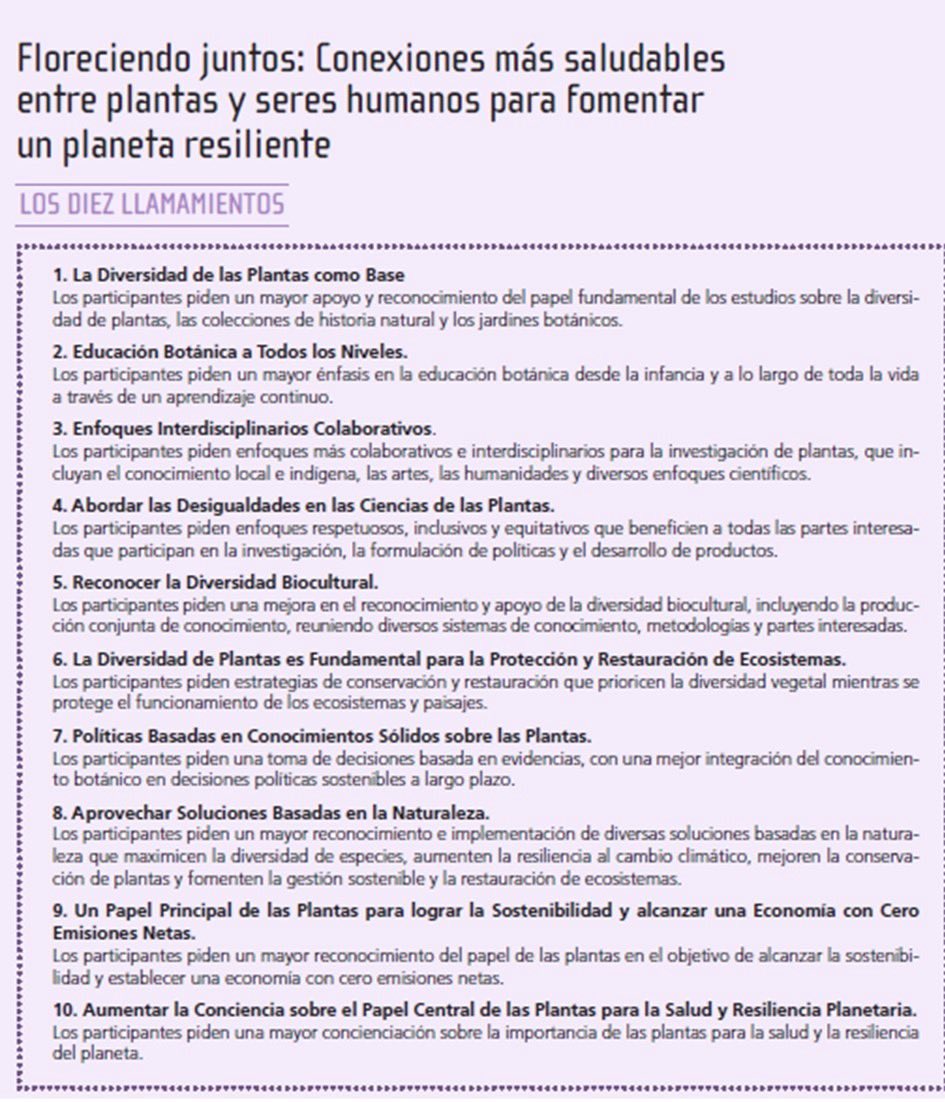 SEBiCoP's tweet image. 🌿¡No te pierdas el dossier especial #IBC2024 de #ConservaciónVegetal28 ❗️
bit.ly/4hiHfTx
Reflexiones: impacto en la botánica española
Sección Nomenclatura
Declaración de Madrid, 
Entrevistas a destacados botánicos
Recorrido visual 📸✨ 
#Botánica 
#SEBOT 
#SEBiCo