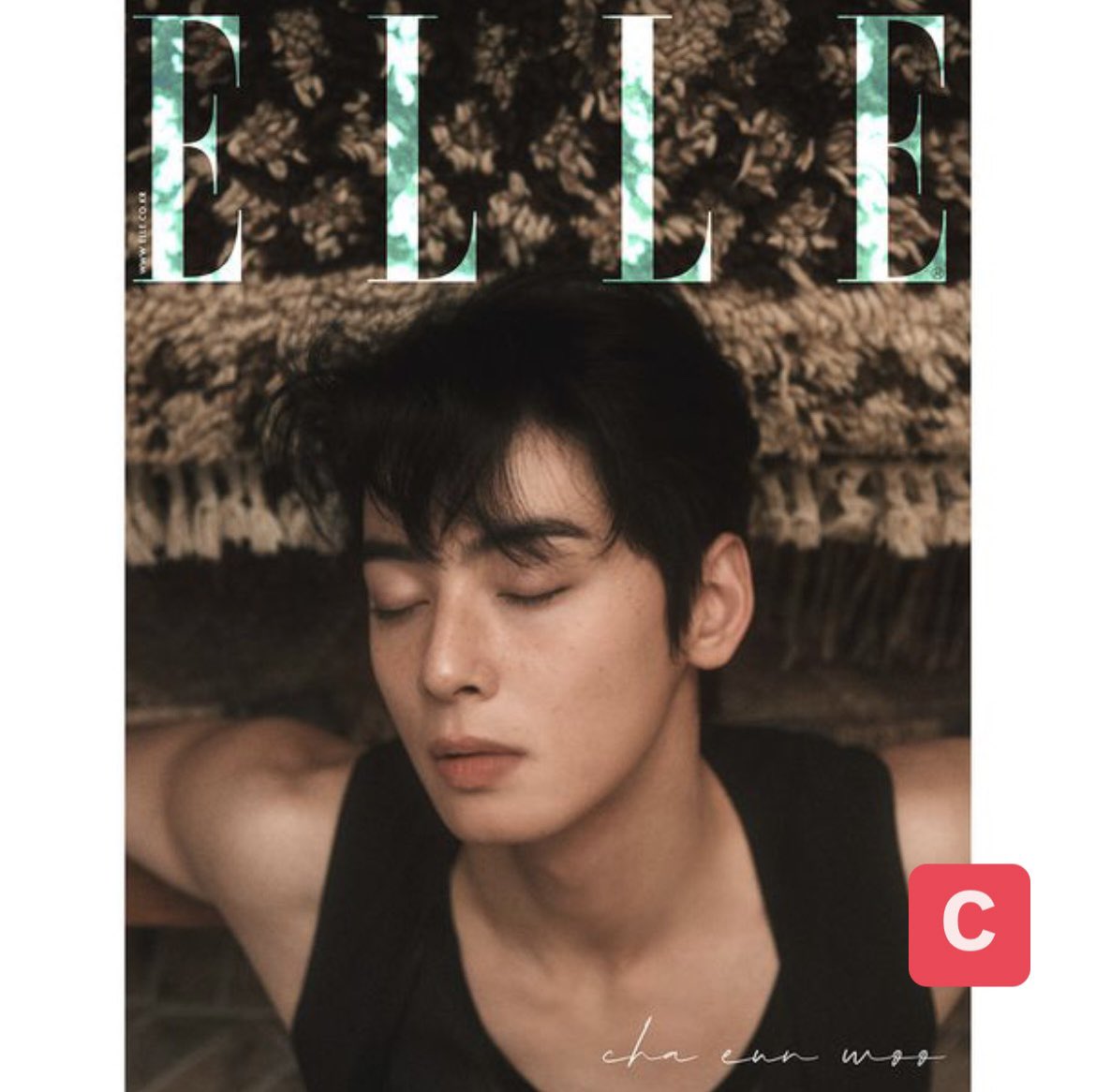 DaesangDistrict tweet media