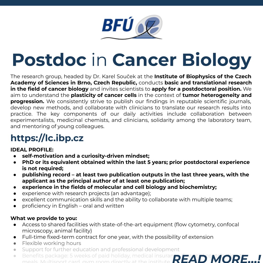 Institute of Biophysics, Czech Academy of Sciences <a href="/BFUavcr/">Institute of Biophysics of the Czech Acad. Sci.</a> is #hiring!
#Postdoc in #cancerBiology
Read more: researchjobs.cz/VwOxh
#postdoctoral #jobs #Brno #cellBiology #molecularBiology #biochemistry #postdocjobs

CC: <a href="/souceklab/">SoucekLab</a>