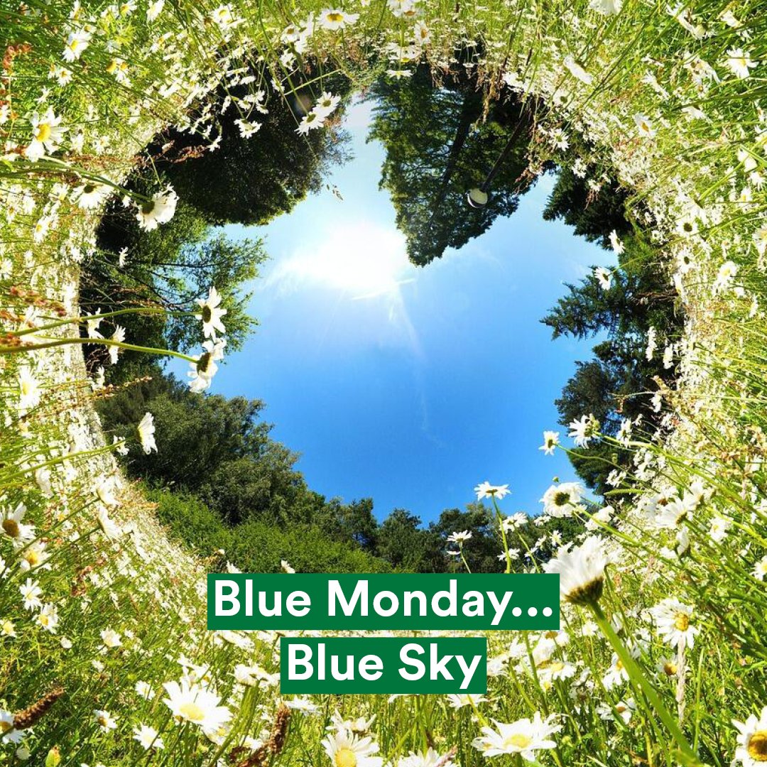 ☁️ #BlueMonday 🌧️
én de dag dat Code Rood 👔 van kracht wordt in de VS, aangewakkerd door een gure wind die ook hier op X waait...

Wij houden vast aan onze diepgroene idealen 💚 en richten onze blik op de blauwe lucht 🔆

Jij ook? ➡️ pvddfryslan.bsky.social 🦋

#TeamPlanet 🌍 ✊