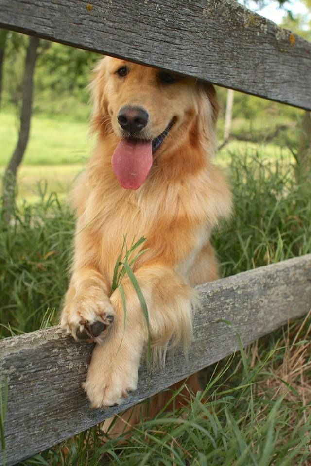 Nature🍀🌸 (@naturenexus4321) on Twitter photo 