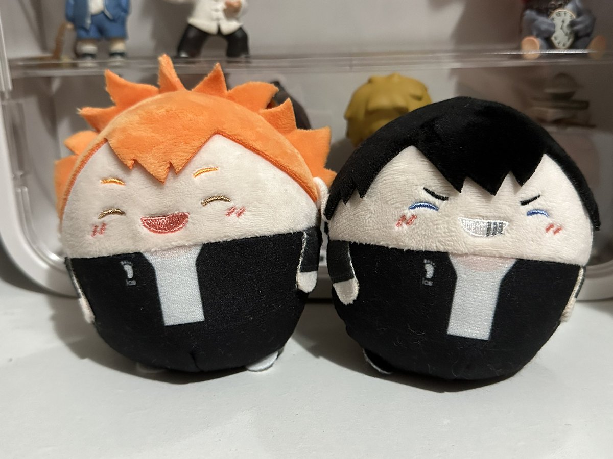 ꒰ wts lfb haikyuu ph ꒱ #ninshousells 

shoyo hinata and kageyama tobio fuwas 

𓏔 ₱900 set 🍊
𓏔 mop: gcash 
𓏔 mod: j&amp;t

message me to claim ^__^
