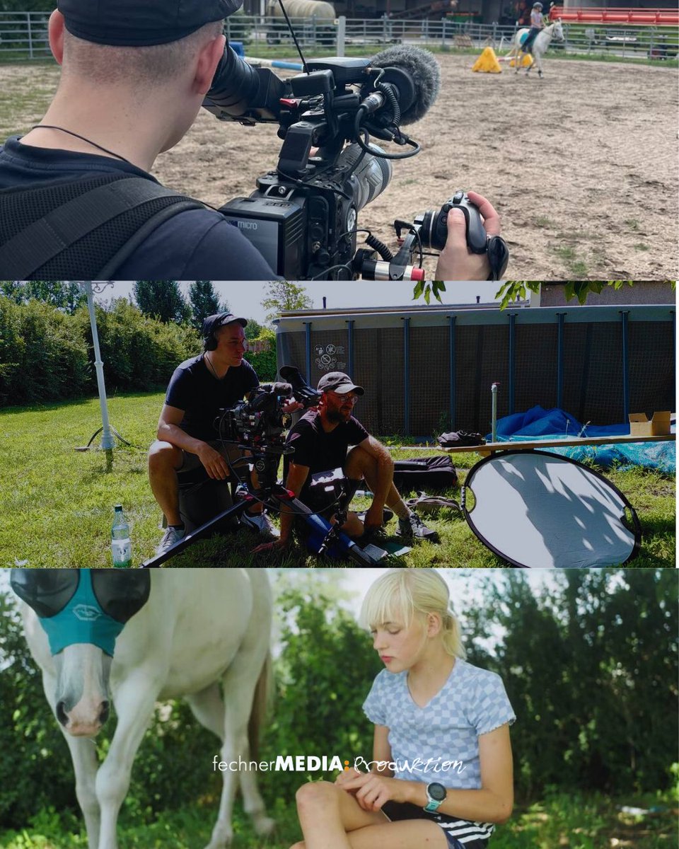 fechnerMEDIA: tweet media