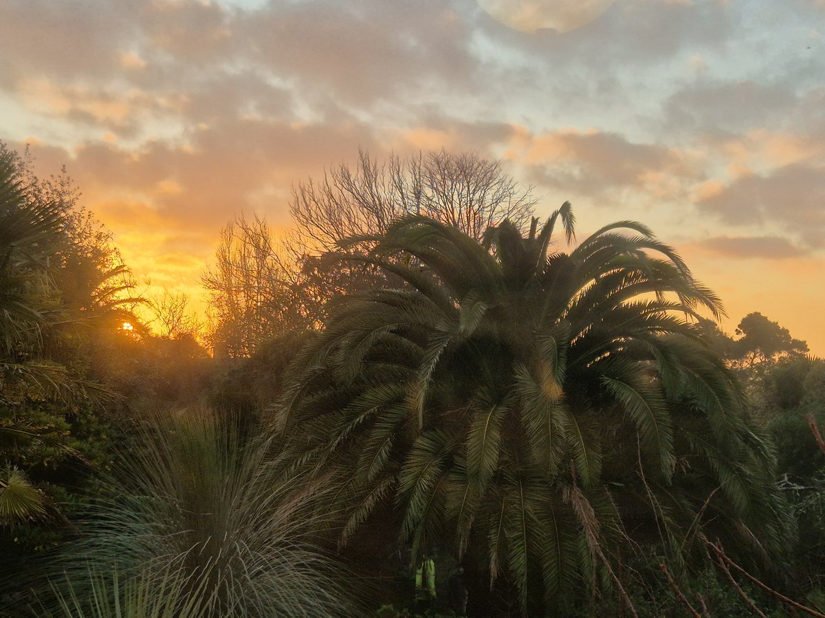 morrablibrary's tweet image. The wintry month of January can sometimes feel a little bleak,but we have enjoyed a number of beautiful sunrises from the library windows to revive our spirits until the days get longer and Spring announces itself...#Sunrise #ViewFromAWindow #LibraryViews #LovePenzance #MountsBay
