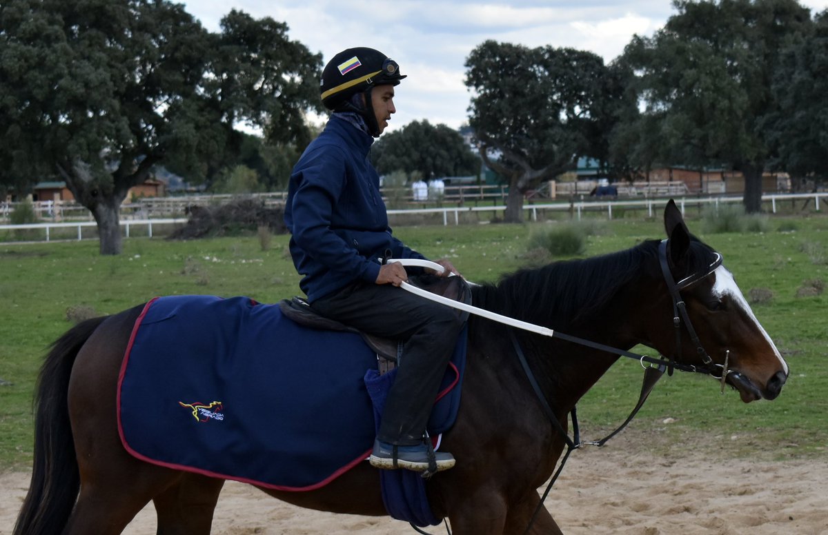 YeguadaAgrado's tweet photo. ⭐️ Los primeros 2 años en completar el pre-training ya se encuentran con sus respectivos preparadores:

MAJESTIC BROTHER (FR)

M. 𝙀𝘼𝙍𝙏𝙃𝙇𝙄𝙂𝙃𝙏 X PORTO ROMANO (𝘼𝙍𝘾𝙃)

Propietario: Annua Racing 

Entrenador: @ROSELLRACING 

Gracias a sus propietarios por la confianza! https://t.co/q11iFVlCoh