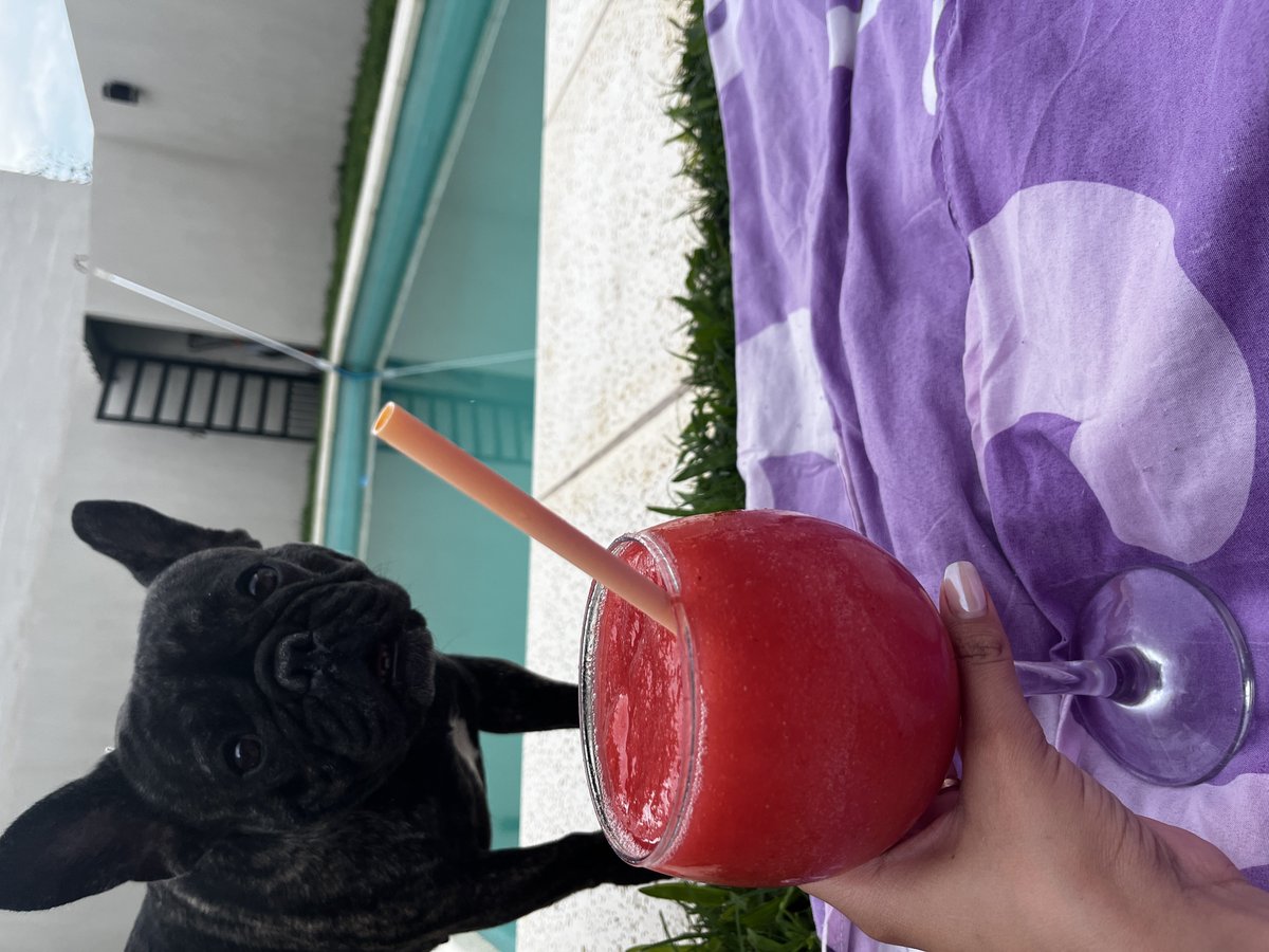 IsaDizzy's tweet image. his face of...what is that, can I eat it