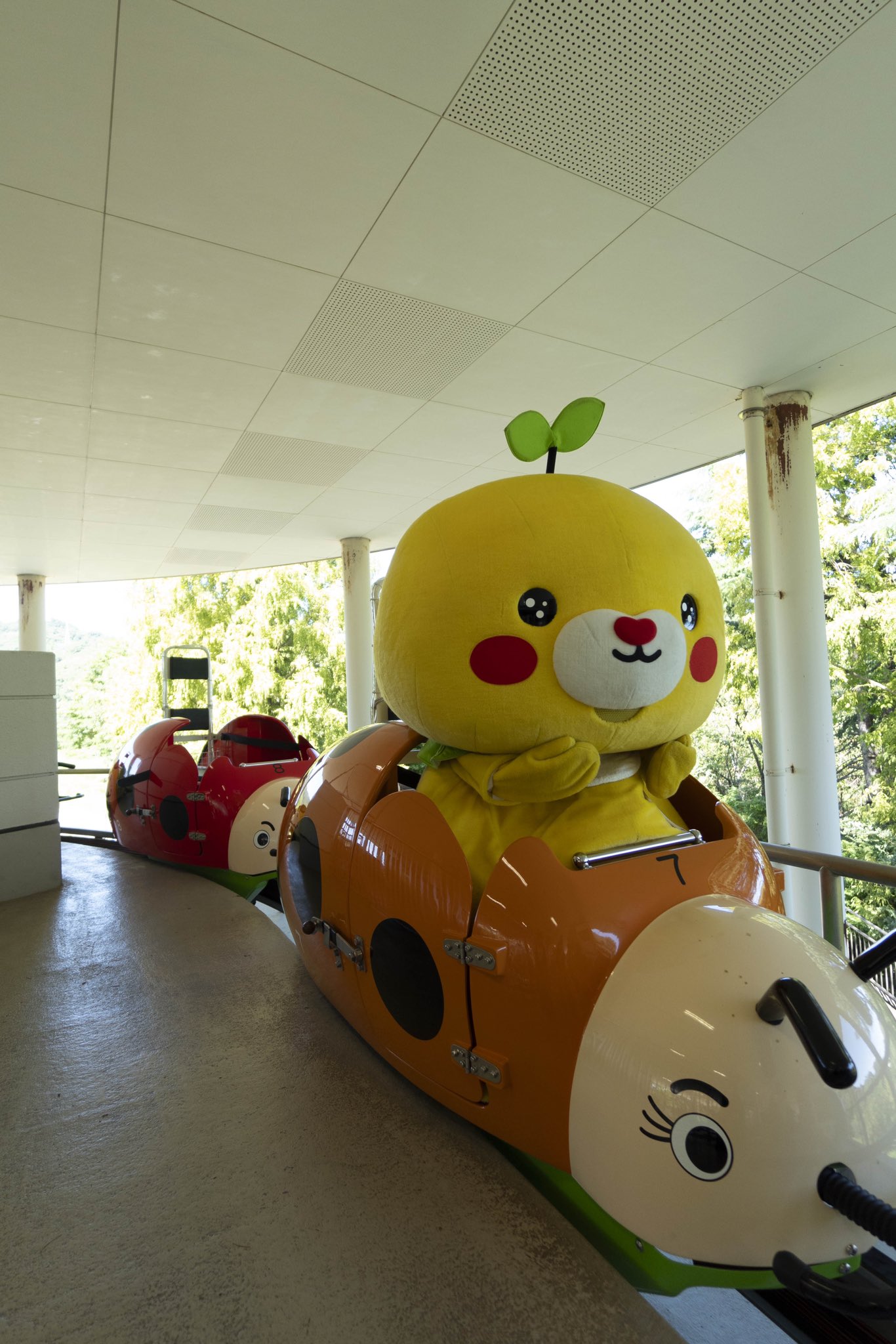 みきゃん様 みきゃん【公式】《愛媛県イメージアップキャラクター