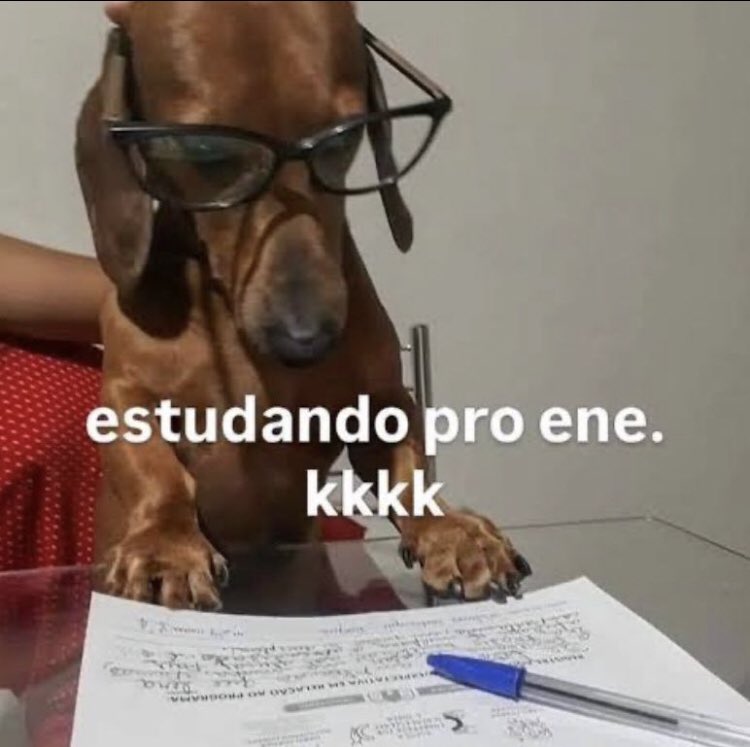 kayke🧠 tweet media