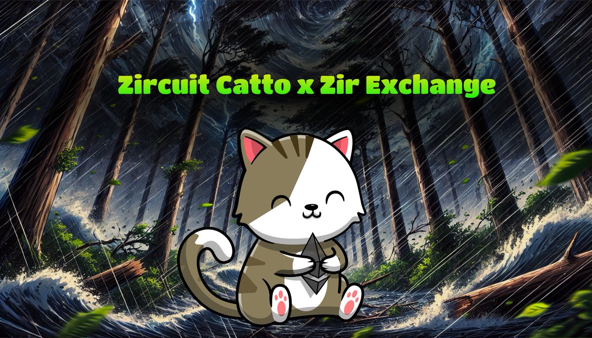 Zircuit Catto tweet media