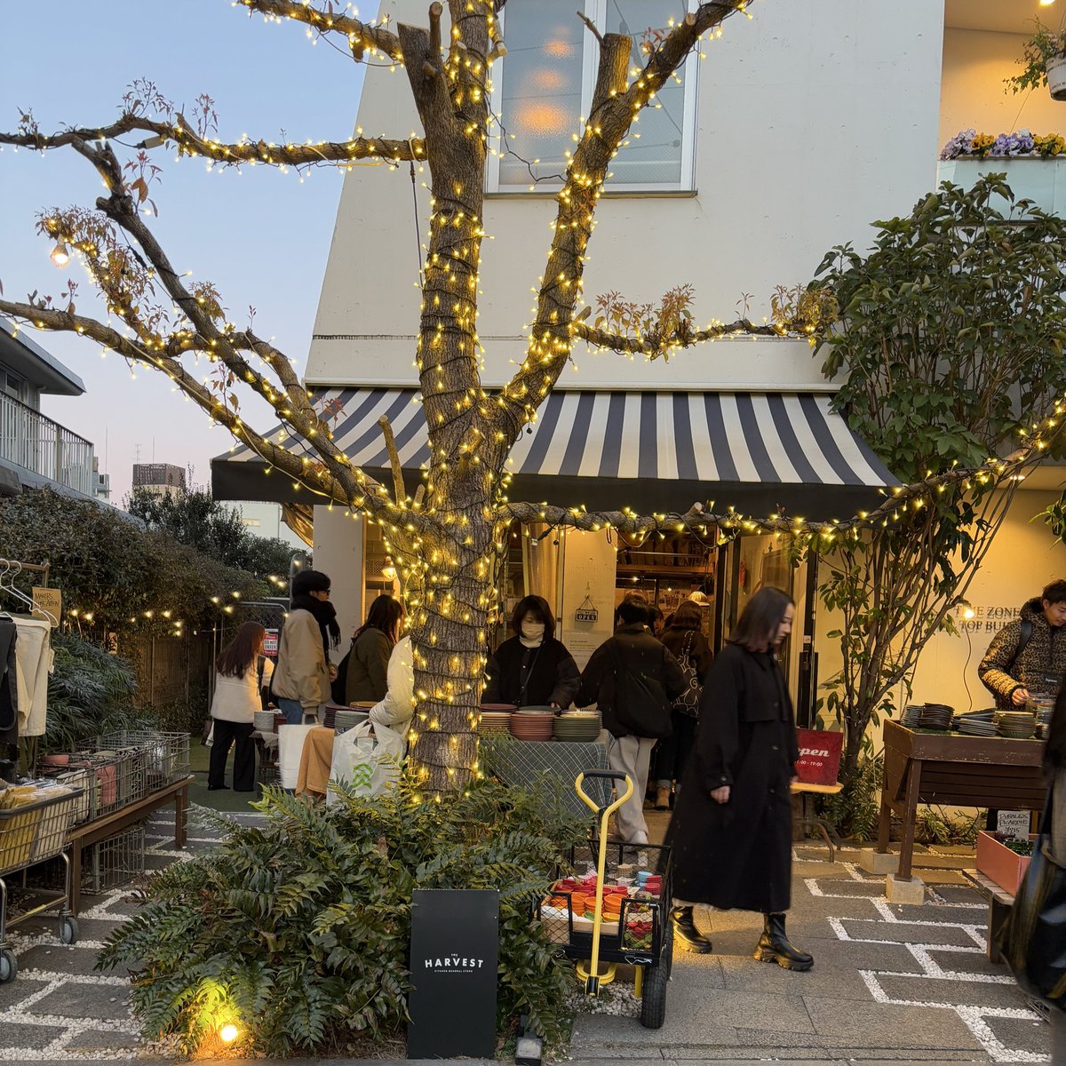 bmoon_07's tweet photo. 最近の休日🧣
またかわいいお皿に出会えた🍽️ https://t.co/kJR41p0AUD
