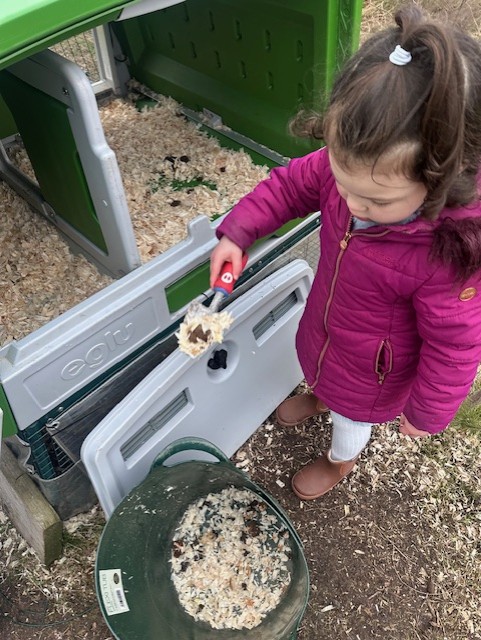 FrogstonFarm's tweet photo. A huge welcome to one of our newest Frogston Farm families, who had their first session on Sunday and LOVED it! Thank you for taking such great care of our girls! This is the start of a beautiful and feathery friendship! #community #HWB @LfSScotland https://t.co/6SkEviYwmF