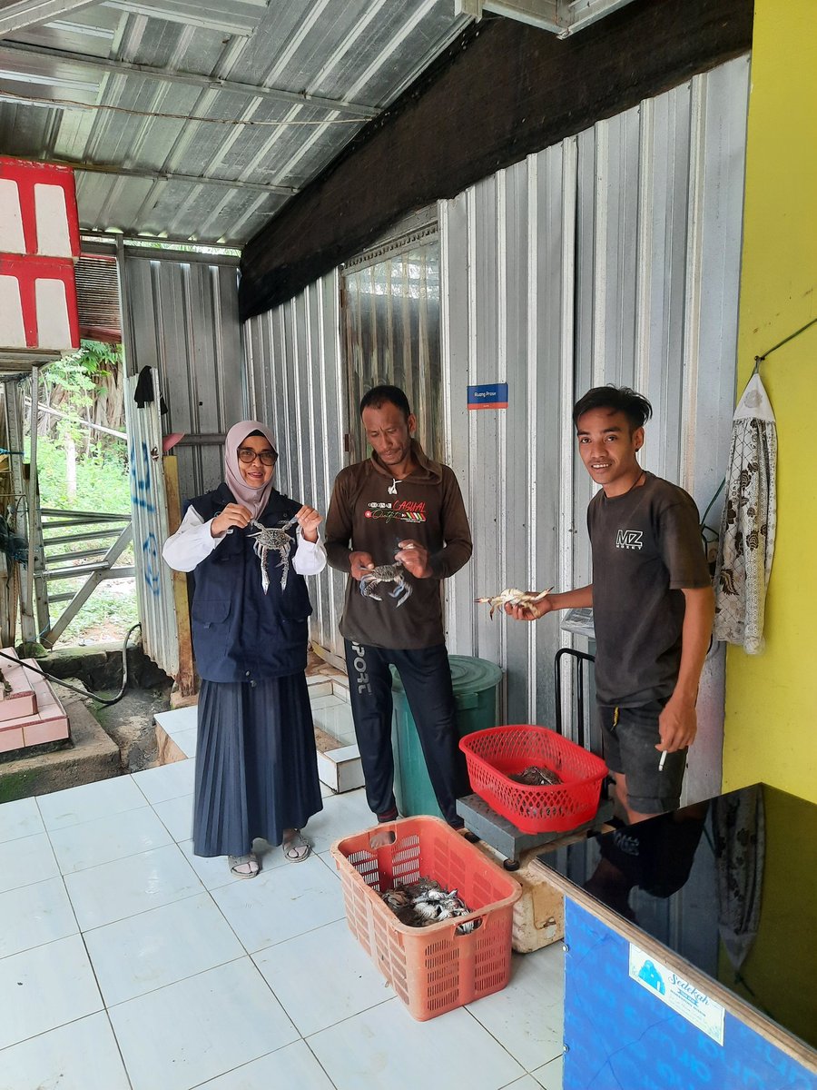 nurhadati's tweet photo. Senin 20-1-2025,Nurhadati,sp.Luhkan kab.Bone di KUB Bonelampe, Ds Bulu-bulu , melaporkan tangkapan kepiting rajungan,alat tangkap bubu dan rakkang  ,pagi hari , sebanyak 25 kg, harga Jual rp 45.000/kg #GiatLuhkanSatminkalmaros #Bone #Tangkap https://t.co/DISKzlRGp9