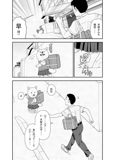 朝寝坊した二人が一緒に登校する漫画です(2/2)
#犬田さん漫画 