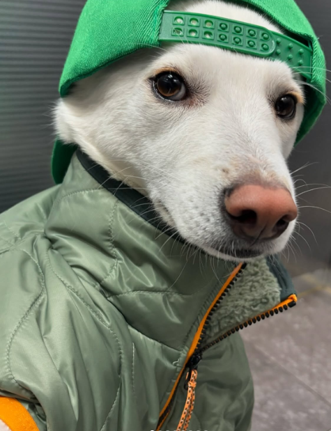 SIGMABOYDOG's tweet photo. https://t.co/cCyFn9wMDL