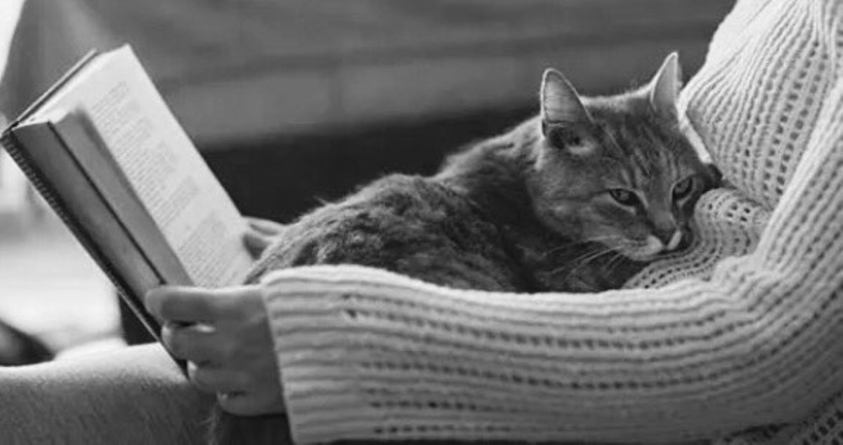 I #libri mi piacciono perché non strillano,sono silenziosi, eppure dicono un sacco di cose.

Danilo Pennone
#SonoDieciAnniDiNoi #VentagliDiParole