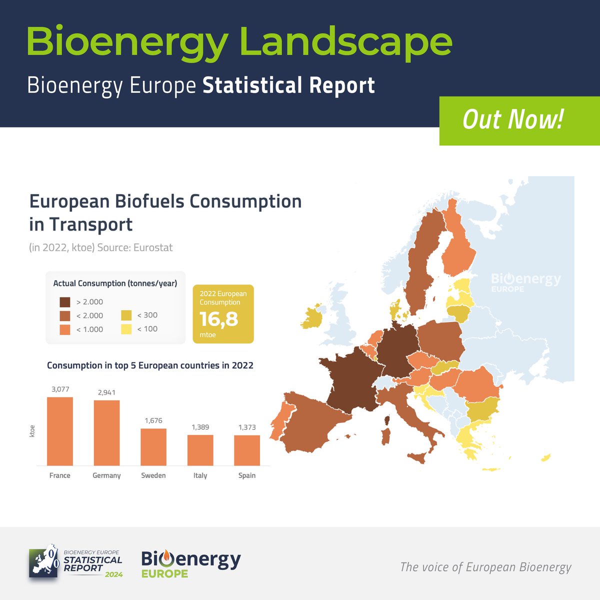 With 2262% growth in 22 years, #biofuels  hit a record high in 2022, now supplying 6% of EU transport energy—the top renewable fuel in the sector
📘 Learn more: bit.ly/40dZFiN
💬 Join our webinar on Feb 11 at 15:00: bit.ly/4g4rX3A
#RenewableEnergy #EUTransport
