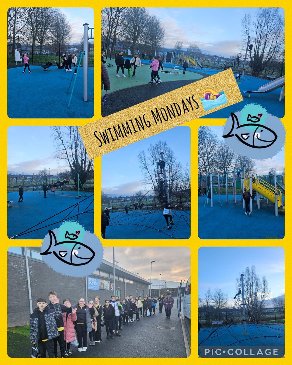 ctrps1's tweet image. Mr. Campbell's P7 class LOVES Mondays! They start their day with mindful activities and then head to the swimming pool for some fun exercise. What a fantastic way to kick off the week! 🧘‍♂️🏊‍♀️ #MindfulMonday #ActiveStart #P7Class