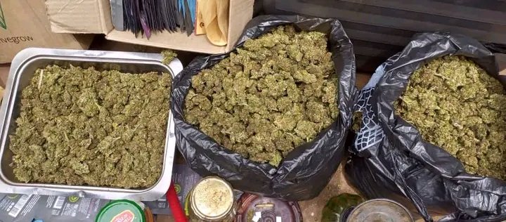 Flecher265's tweet photo. Lilongwe police has arrested five men over possession of cannabis sativa without a permit at Lizulu market.
Government should close #invegrow .not arresting our brothers.
It doesn't make sense invegrow ma foreign investors kumapanga operate ma local citizens ndie kumamangidwa https://t.co/yDsZ1ZzpZ3