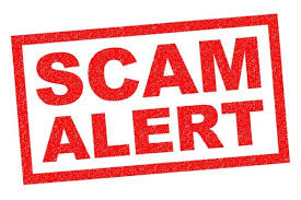 GM ☕️

Sad to see that heavy scammers season is back 

Insane to see so many support them
