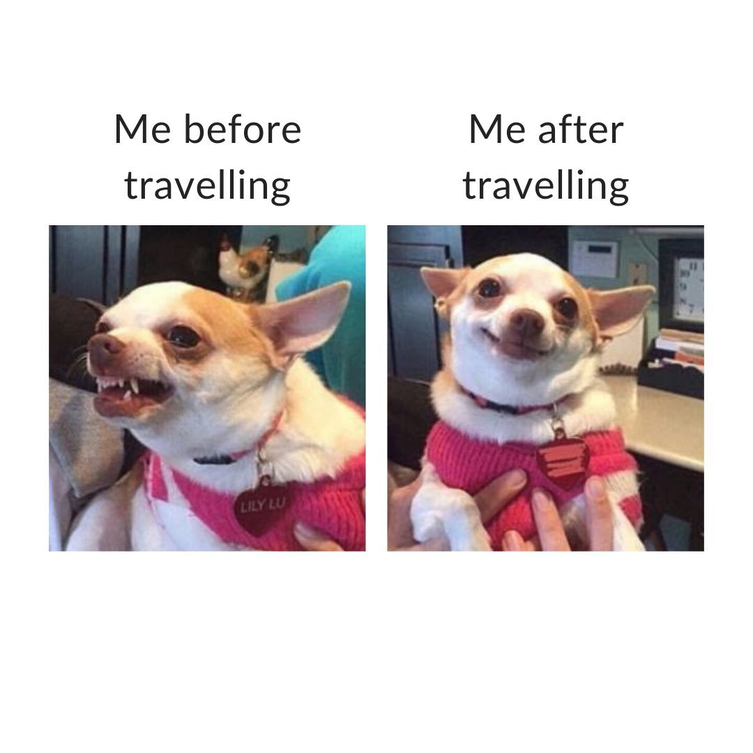 Suntransfers's tweet image. Travelling will fix everything! ✈️✨😂😆

#funnytravel #travelmemes #travelhumor #relatablememe