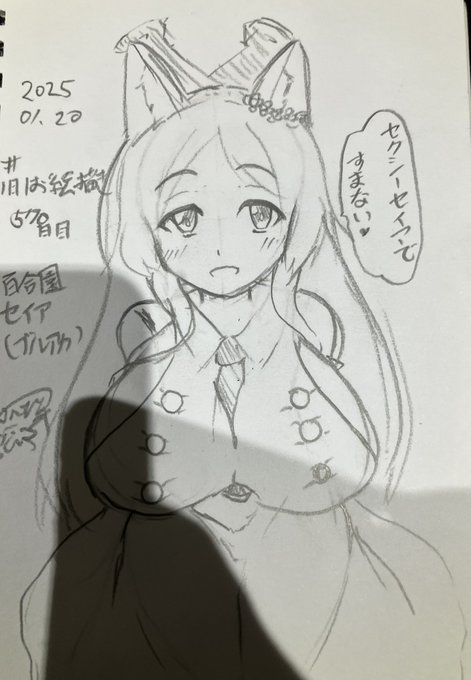 #1日1お絵描き
1570日目。
最近初描きでも盛るようになりました。
セクシーセイアでござきます。 