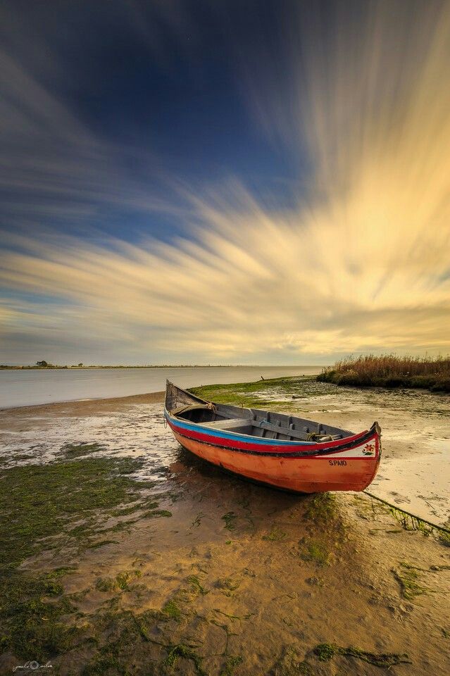 لا أعلم ما في بيوتكم
ولكني اسأل الله
 ان كان
فيها مريضا ان يمن عليه بالشفاء العاجل
وان
 كان فيها مهموما ان يفرج همه
،وإن كان فيها مديونا ان يقضي دينه
وإن كان فيها معيونا ان يبطل العين التي إصابته
وإن كان فيها ميتا ان يرحم موتانا وموتاكم ويجمعنا 
بهم في الفردوس الأعلى