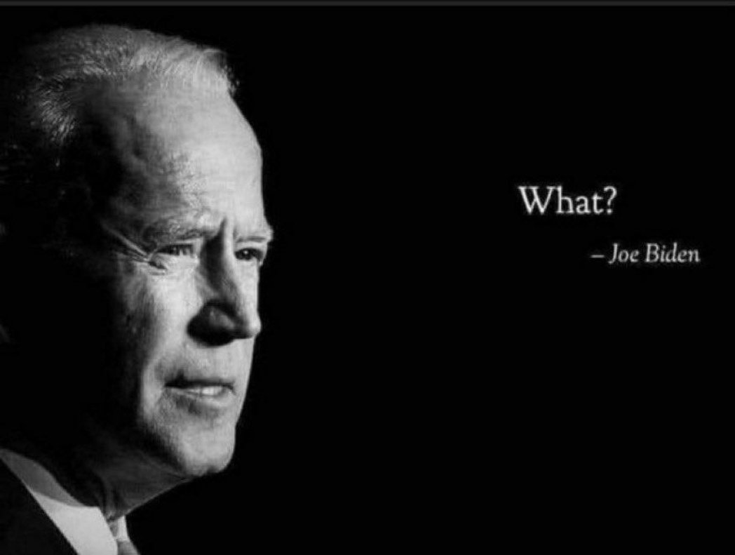 sdshelt's tweet photo. @Gore2024 https://t.co/BrnMPUBqhm
