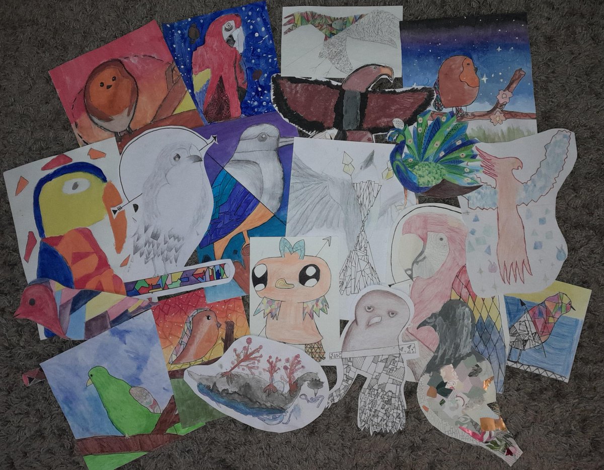 Geometric bird outcomes from a range of students in 8A1 inspired from artists Kerby Rosanes and Clare Young.