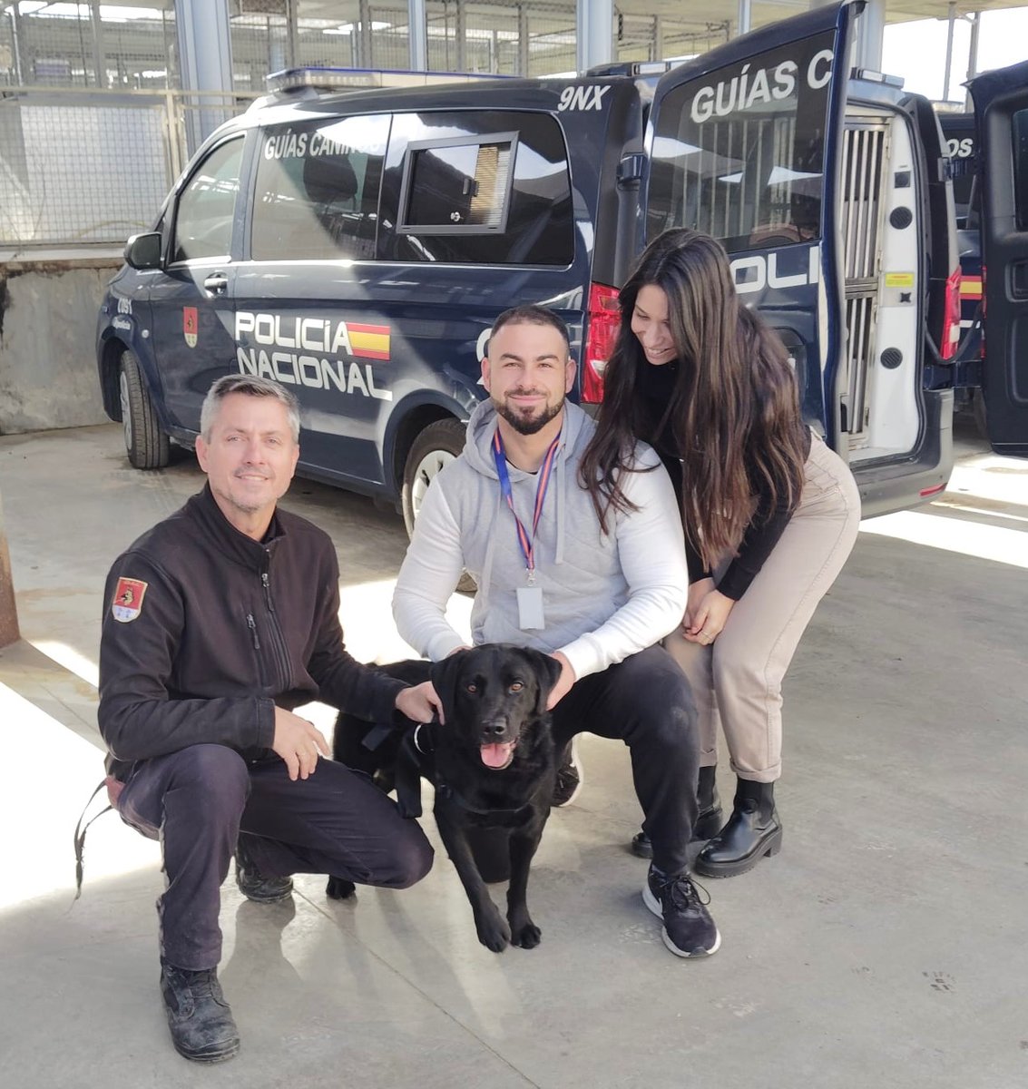 Adopta K9 (@adoptak) on Twitter photo Empezamos la semana de una forma muy especial, Drogo de <a href="/policia/">Policía Nacional</a> empieza su jubilación en el calor de una familia 💙
Feliz vida compañero 💙💙💙💙 Empezamos la semana de una forma muy especial, Drogo de <a href="/policia/">Policía Nacional</a> empieza su jubilación en el calor de una familia 💙
Feliz vida compañero 💙💙💙💙