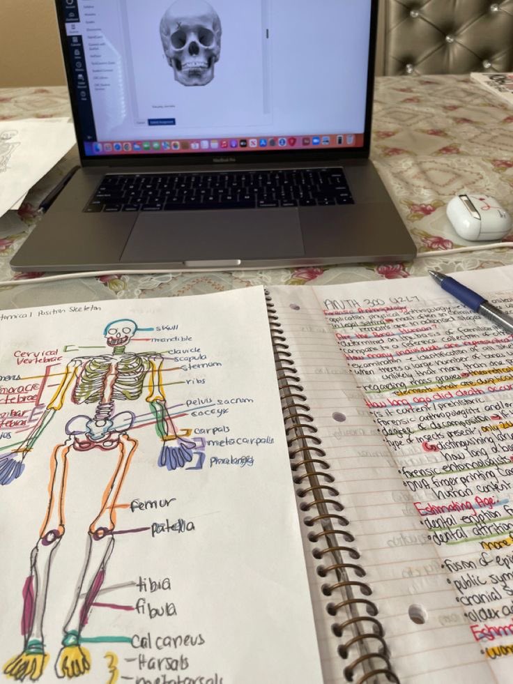 starting for the new sem! 🪴

           🌻tink, 05, she / her 
           🔬1st yr. criminology and forensic science student 
           🪼 ♡books, knitting, photography, anything crafty♡ 

looking for more interactive mutuals! 
♥︎ / ↻ to be moots
#studytwt 𐙚