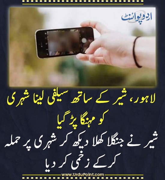 DailyUrduPoint's tweet photo. خبر کی مزید تفصیل جانئیے
https://t.co/gguFAoQgF4

#LionAttack #LahoreIncident #WildlifeSafety #SelfieRisk https://t.co/7CrtHD2KD6