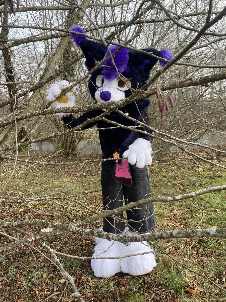 Xenas 🦊 | KITSUNE tweet media