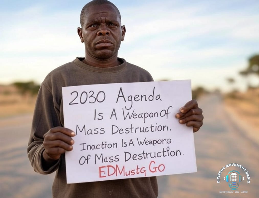 We say no to 2030 hakuna zvakadaro ED is a bogus President