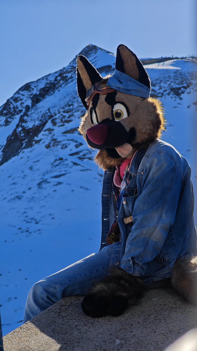 appyhours's tweet image. C'est donc le grand retour dans le 59 après une très bonne convention, (@canthrofur) illuminée par les supers décors de l'Auvergne !

#furry #fluff #fursuit #auvergne #doggo #FurryFandom