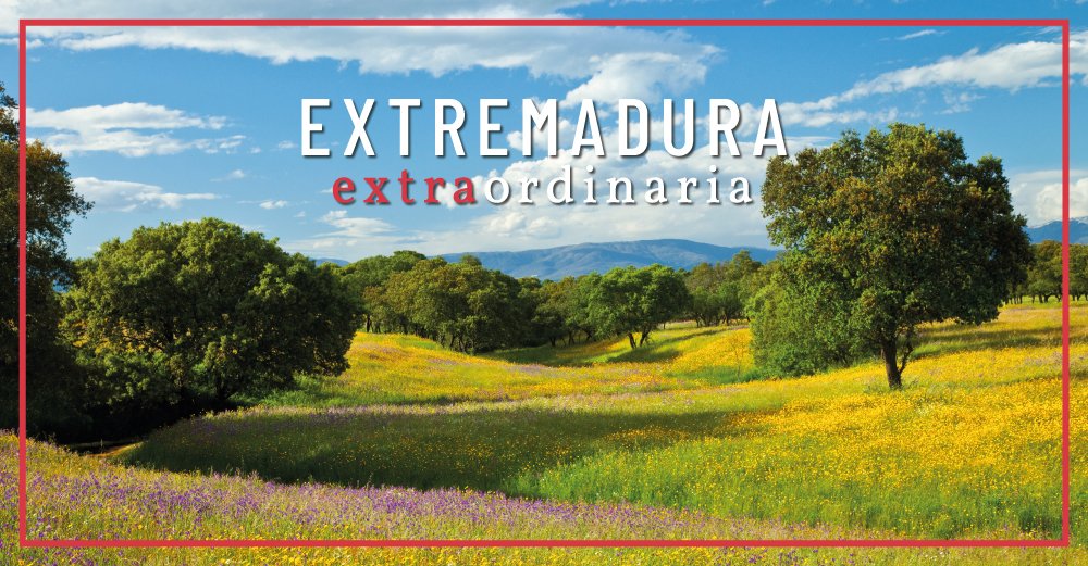 👋🏻¡Contadnos! ¿Vais a venir a <a href="/fitur_madrid/">FITUR</a> 2025?
Del 22 al 26 de enero os esperamos en el stand de #ExtremaduraFitur con nuestra #ExtremaduraExtraordinaria.
👆🏻¡Utiliza estos dos hashtag para publicar todo lo relacionado con #Extremadura! ¡Os esperamos!
🔗extremadurafitur.com